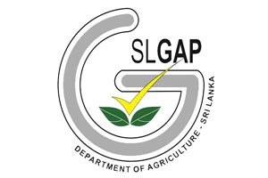 slgap new