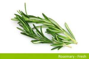 Rosemary